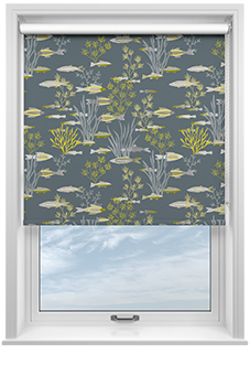 Shallows, Selene - Roller Blind